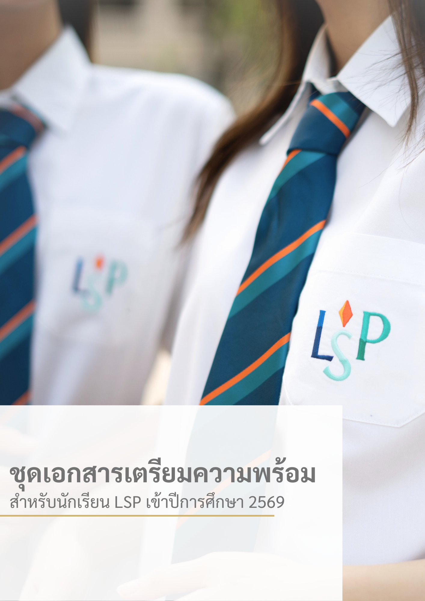 Document set preview